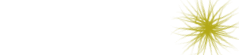ANGELIKI PENSION